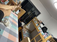 -黄山光明顶山庄