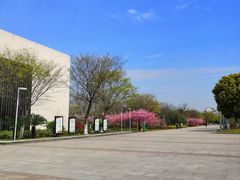 -九里河湿地公园
