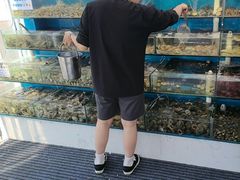 -仙螺岛海鲜自助餐厅(总店)