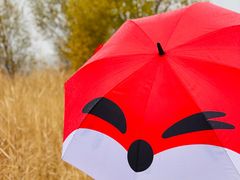 -野鸭湖国家湿地公园