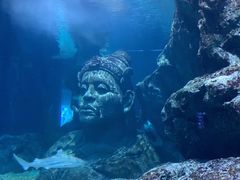 -暹罗海洋世界