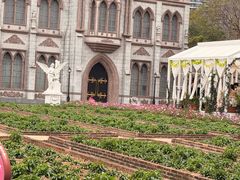 -玫瑰海岸文化旅游度假区
