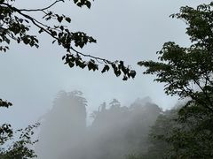 -黄山风景区