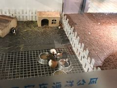 -石家庄海洋公园
