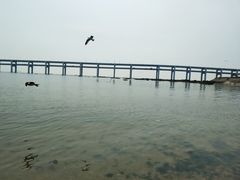 -黑石礁公园