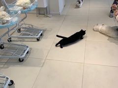 -怪兽屋·羊驼·猫咖·狗咖(俊华广场店)