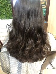 -红人馆造型十添