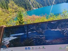 -西姆山居酒店(九寨沟沟口店)