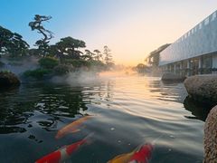 -罗红摄影艺术馆