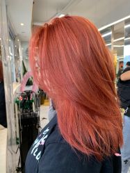 -潘多拉Hairsalon
