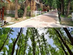 -唆了蜜团建·趣味沉浸式剧情·蹦床轰趴运动拓展基地(天津旗舰店)
