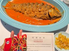 -阿五黄河大鲤鱼(纬三路店)