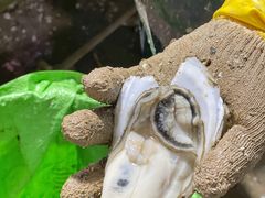 -都斛海鲜街