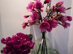 -归觅·西关小姐人文艺术馆(荔枝湾店)