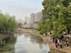 -堤角公园