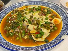 -新蜀会四川豆花(五羊店)