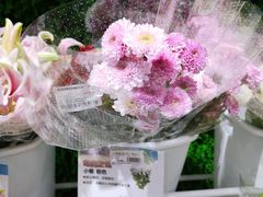 -盒马鲜生(财富中心店)