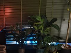 -Lazy Time Massage南亚按摩小馆(大悦城店)