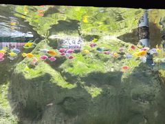 -苏州海洋馆