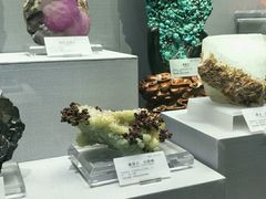 -湖南省地质博物馆