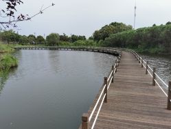-水八仙生态园