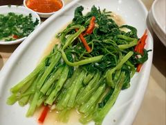 白灼有机菜心-海龙阁酒家·37年老字号粤菜(保利广场店)