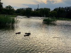 -太阳宫公园
