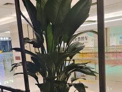 -旺顺阁鱼头泡饼(常营店)