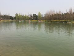 -秀丽东方