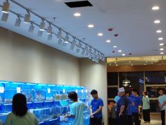 -前王院•巧克力海鲜市集餐厅(万平口店)