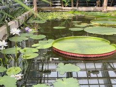 -国家植物园南园