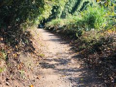 -宁波五龙潭景区