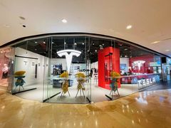 -TESLA 特斯拉(北京颐堤港体验店)