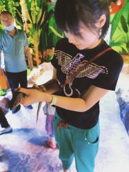 -酷嗒动物文化乐园(cutezoo西溪乐天城店)