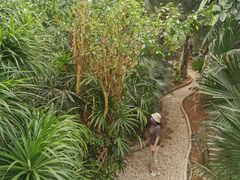 -石家庄市植物园