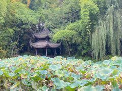 -三苏祠