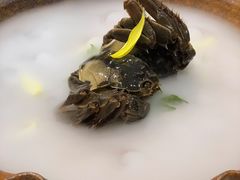 -新光酒家·河豚·海鲜·蟹料理(浦东店)