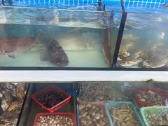 -阿伍海鲜大排档(塔湾金沙店)