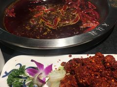 -大龙燚火锅(春熙店)