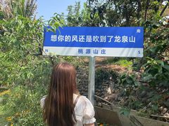 -桃源山庄·水蜜桃采摘·柴火鸡·烧烤团建(龙泉山店)