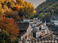 -四明山国家森林公园