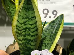 -鹿岛会员店 (龙湖三千集天街店)