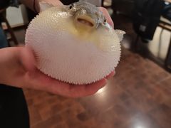 -肆月河豚·新淮扬(金融街店)