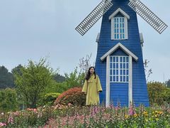 -铁山坪森林公园