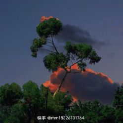 -HEYAN荷妍专业脱毛连锁机构