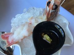 -Oyster Talks 四度蚝法餐厅