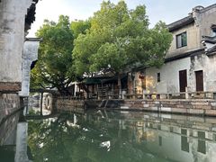 -乌镇东栅景区