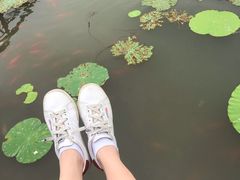 -绍兴大禹开元观堂-若耶厅