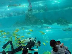 -苏州海洋馆