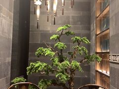 -悦秀·高级粤菜